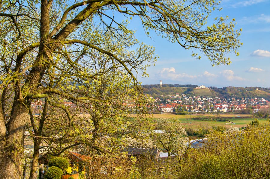 Baugrundstück mit Blick ins Elbtal