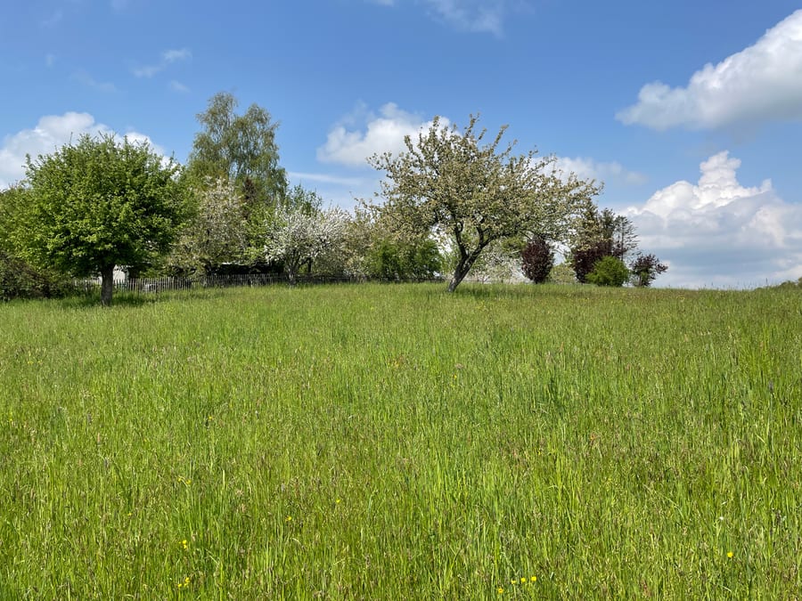 Baugrundstücke in Klipphausen, fünf Parzellen