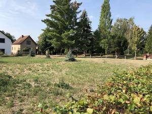 Grundstück bei Moritzburg