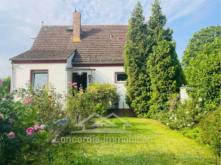 Einfamilienhaus in Radebeul mit Pool und viel Nebengelass